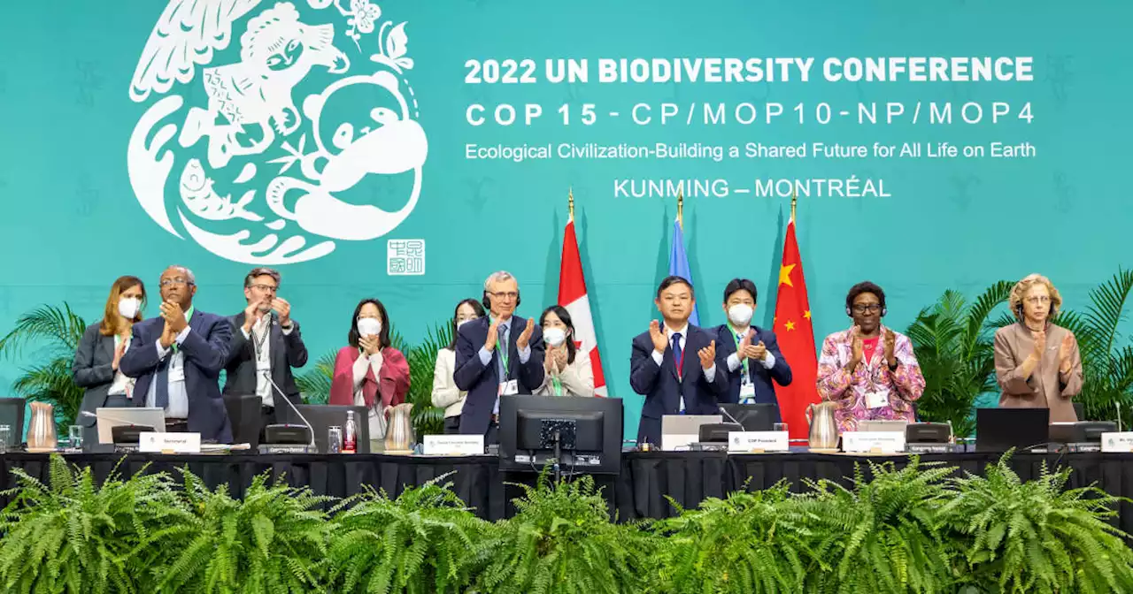 Biodiversité. À la COP15, un accord qualifié d’historique mais qui manque d’ambition