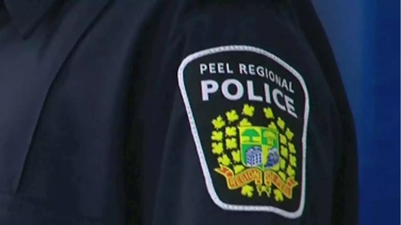 Fight involving 30 people using 'multiple weapons' broke out in Brampton, police say