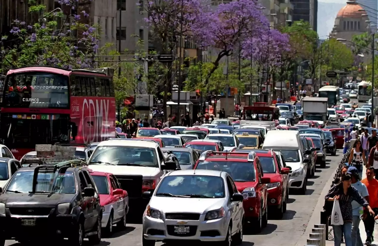 Hoy no circula: Estos son los autos que no circulan este lunes 19 de diciembre