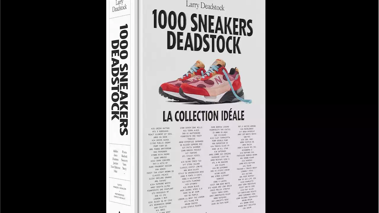 Noël 2022 : '1000 sneakers Deadstock', un livre consacré à la 'collection idéale' des sneakers