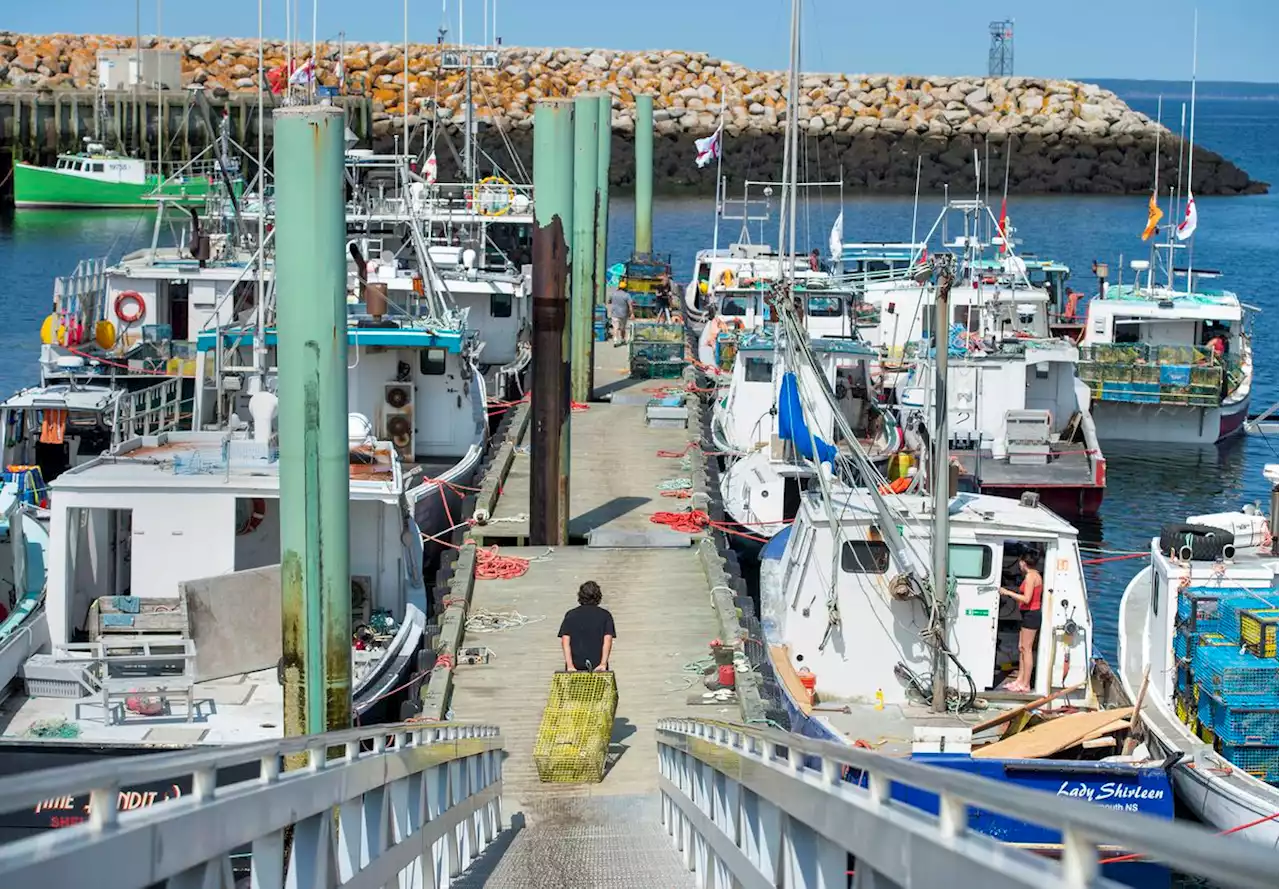 Conflict over new Indigenous lobster fishery continues to smoulder amid some progress