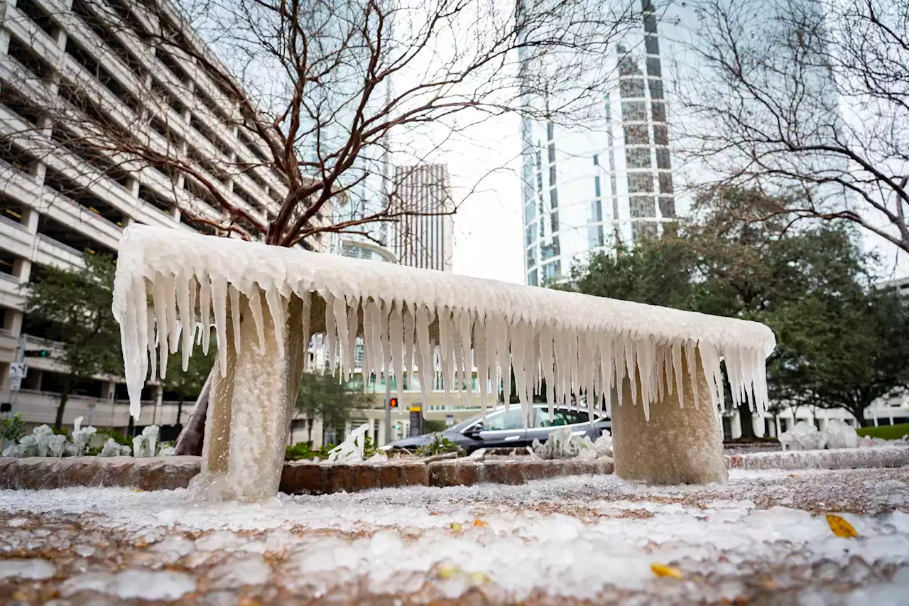 Freezing temperatures are coming to Houston this week. Here's how to prepare.