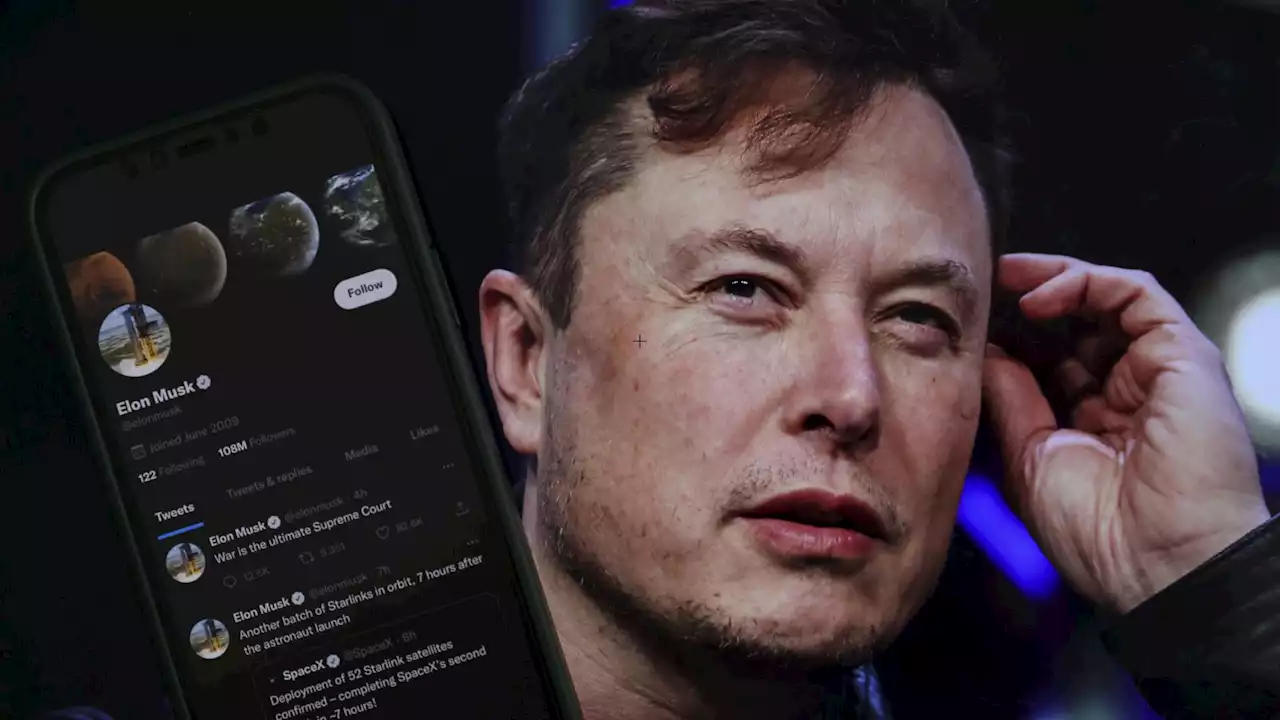 Elon Musk polls Twitter users if he should step down as Twitter CEO