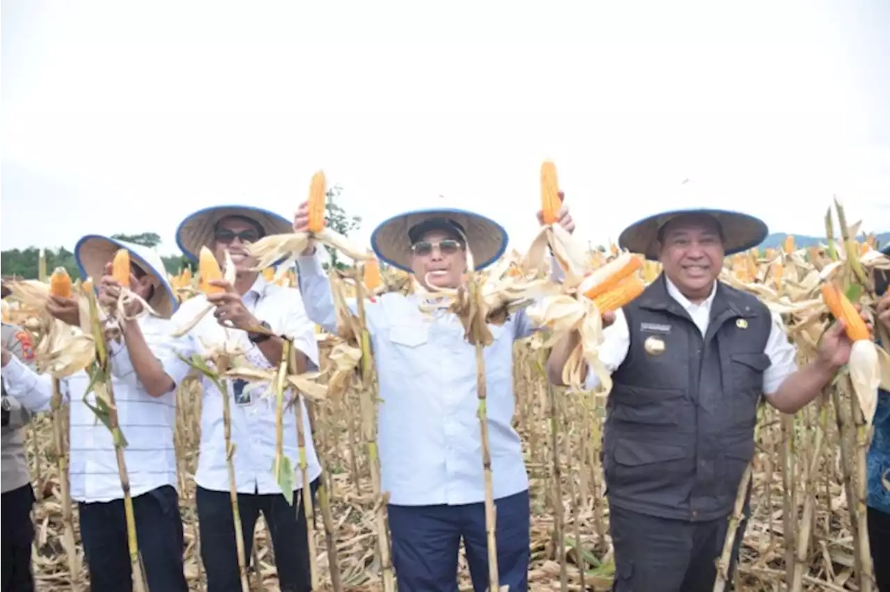 2023, Kementan Beri Bantuan Pertanian, Dairi Bakal Dapat Bibit untuk 3.020 Hektare Lahan