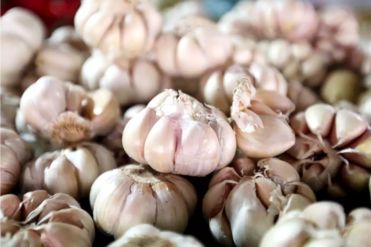 Tingkatkan Daya Tahan Tubuh Dengan Rutin Mengonsumsi 4 Makanan Sehat Ini