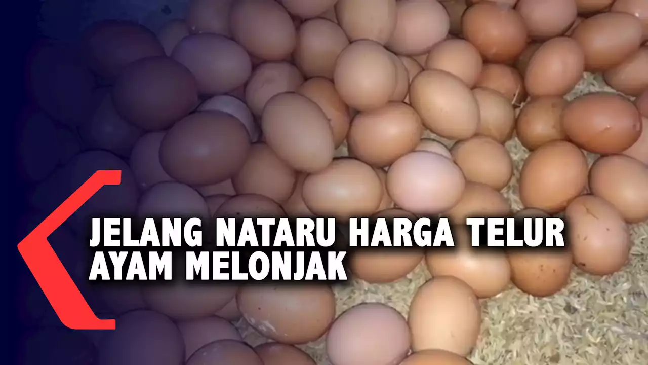 Jelang Nataru Harga Telur Ayam Melonjak Daya Beli Menurun