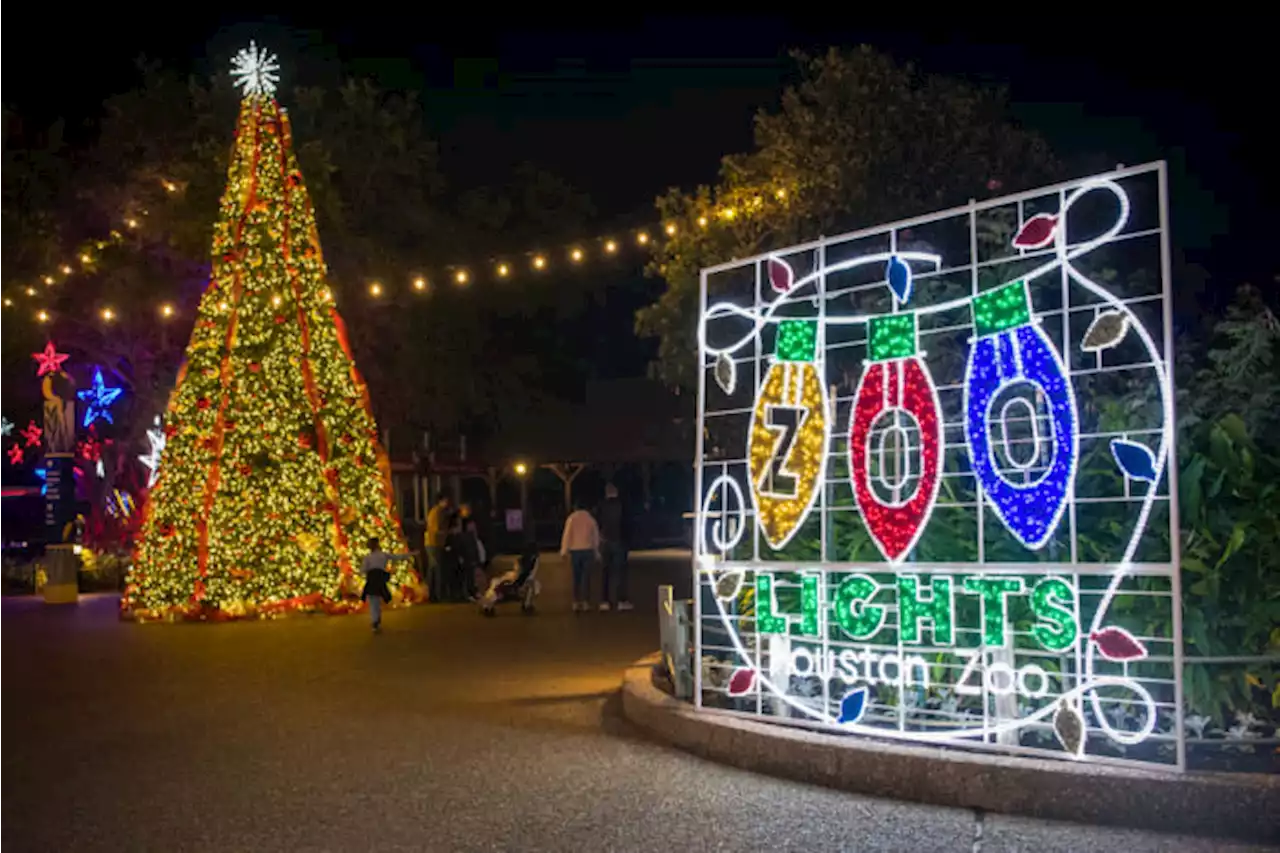 ‘Zoo Lights’ canceled due to inclement weather, possible arctic blast, Houston Zoo officials say