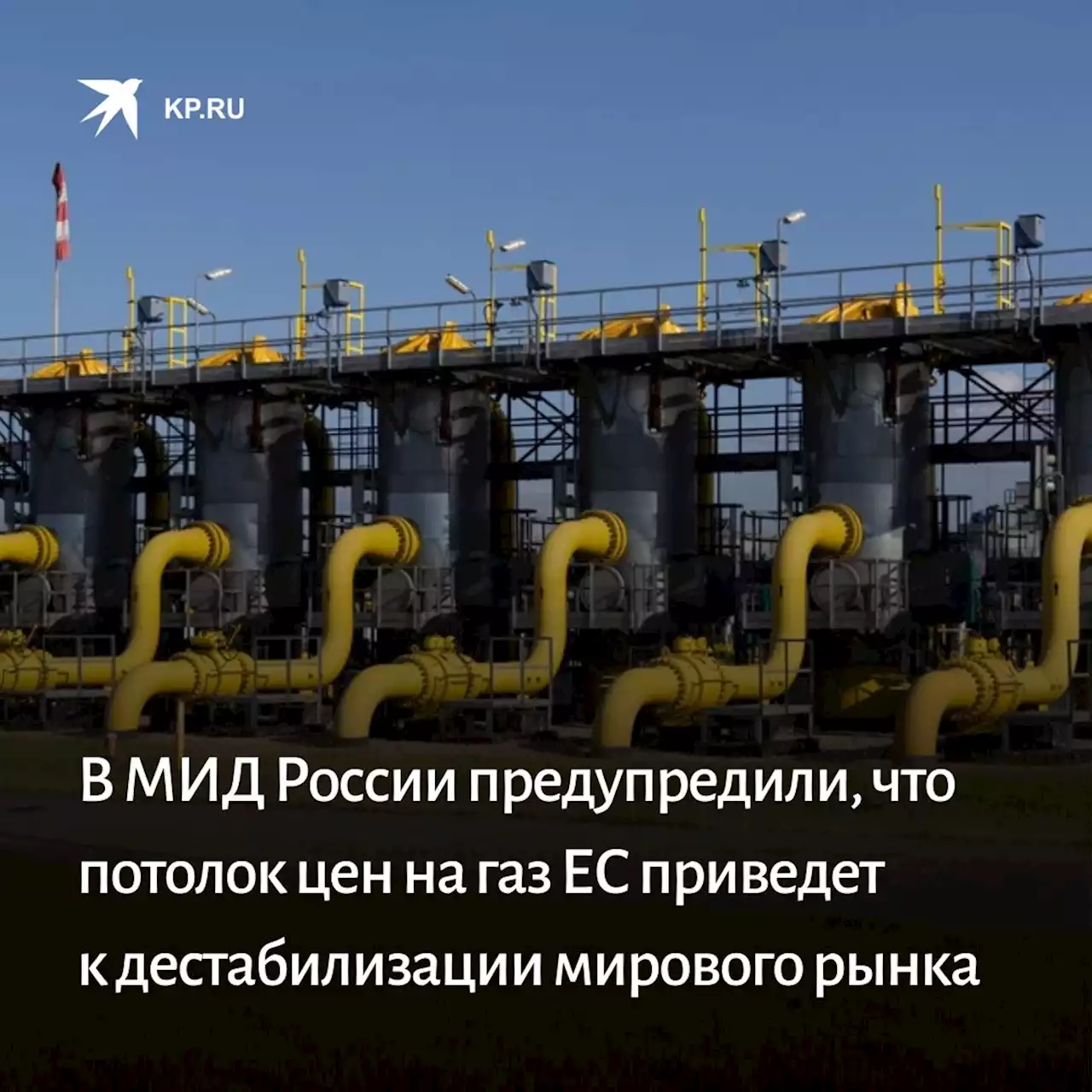 В МИД России предупредили, что потолок цен на газ ЕС приведет к дестабилизации мирового рынка