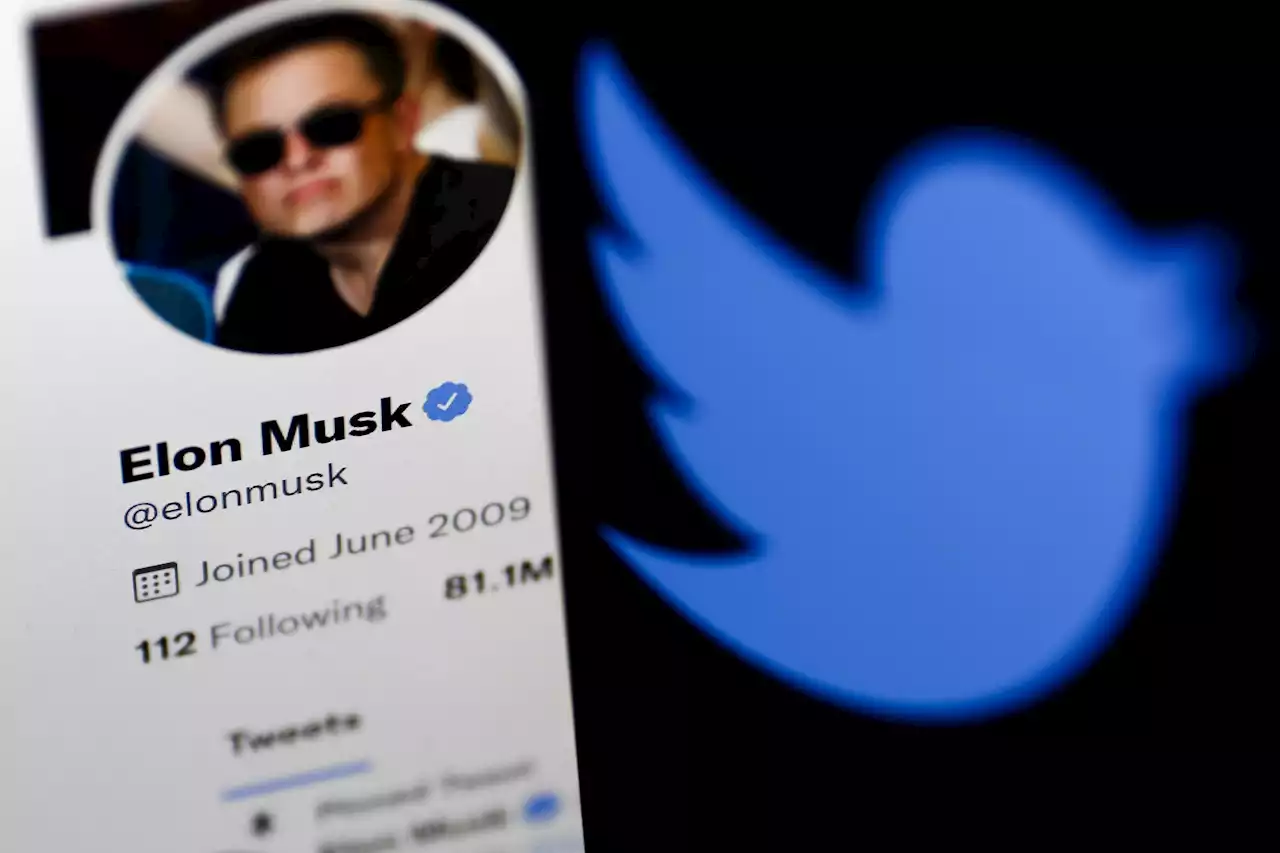 Elon Musk recula y pide disculpas por su última y polémica decisión en Twitter