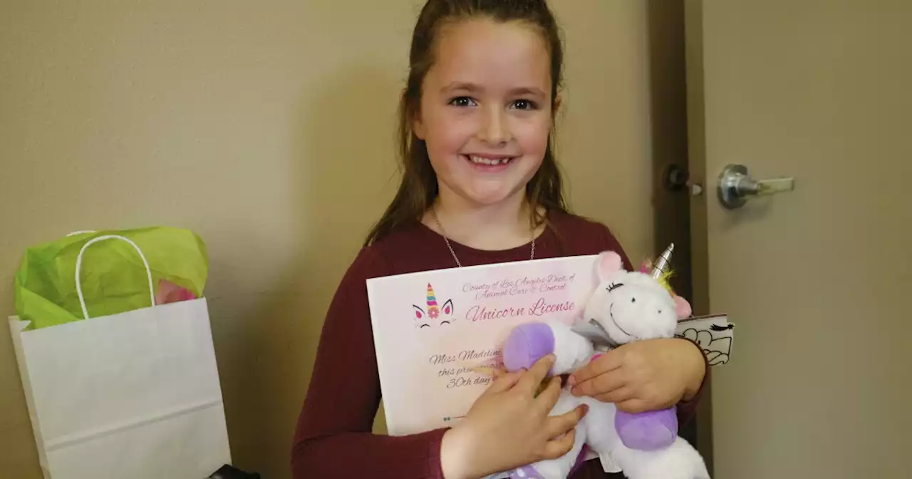 LA County Delivers Its First-Ever Unicorn License To 7-Year-Old Girl