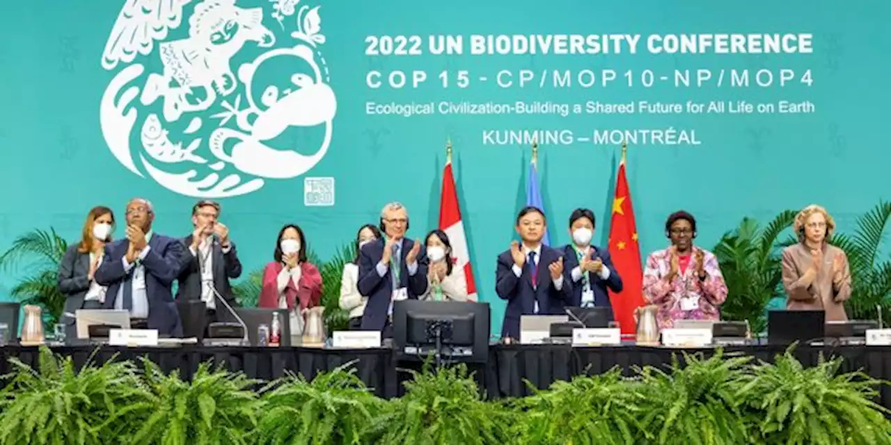 COP15 : les pays riches devront verser 20 milliards de dollars par an aux pays en développement