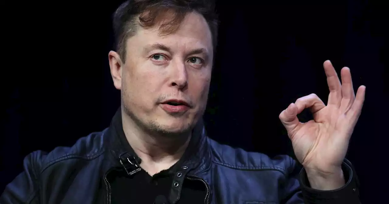 Twitter : comment Musk se prépare à couper les liens vers les plateformes concurrentes