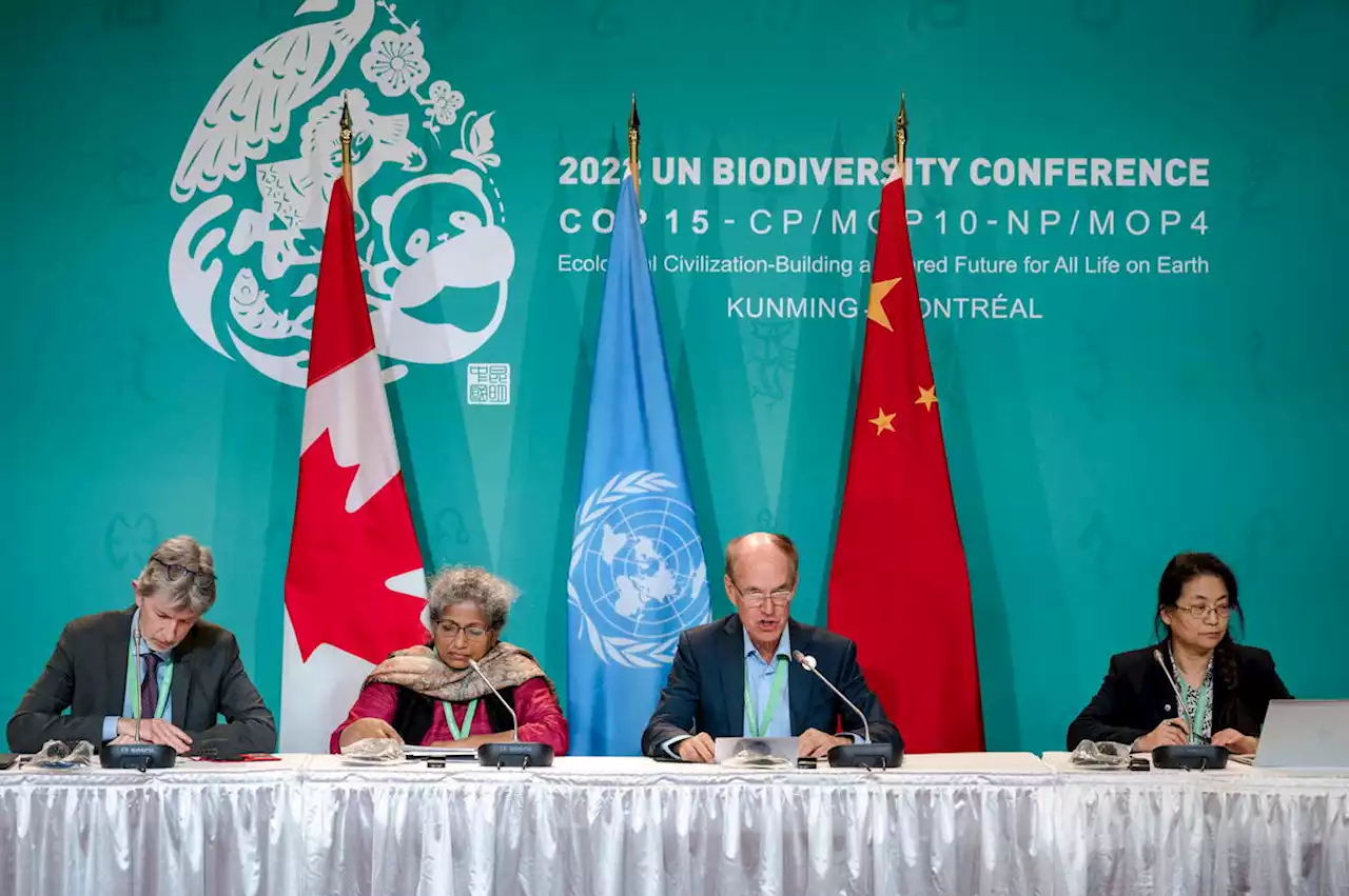 La COP15 de Montréal se conclut avec un accord historique sur la biodiversité