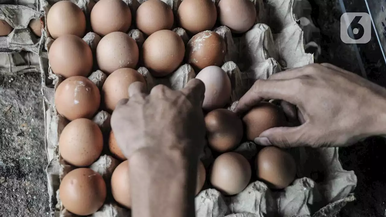 Jelang Natal dan Tahun Baru, Harga Telur Ayam Tembus Rp 33 Ribu per Kg