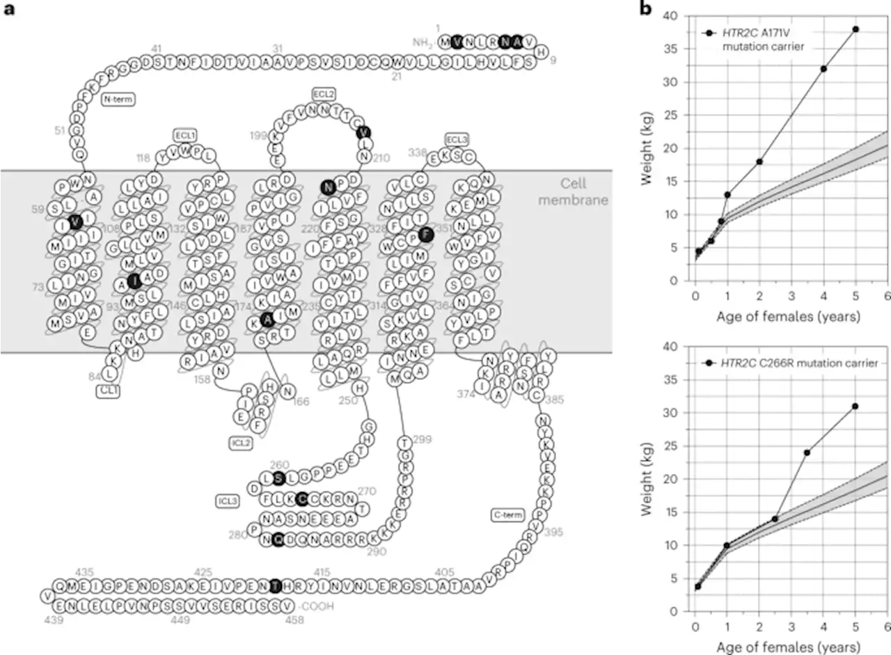 Human loss-of-function variants in the serotonin 2C receptor associated with obesity and maladaptive behavior - Nature Medicine