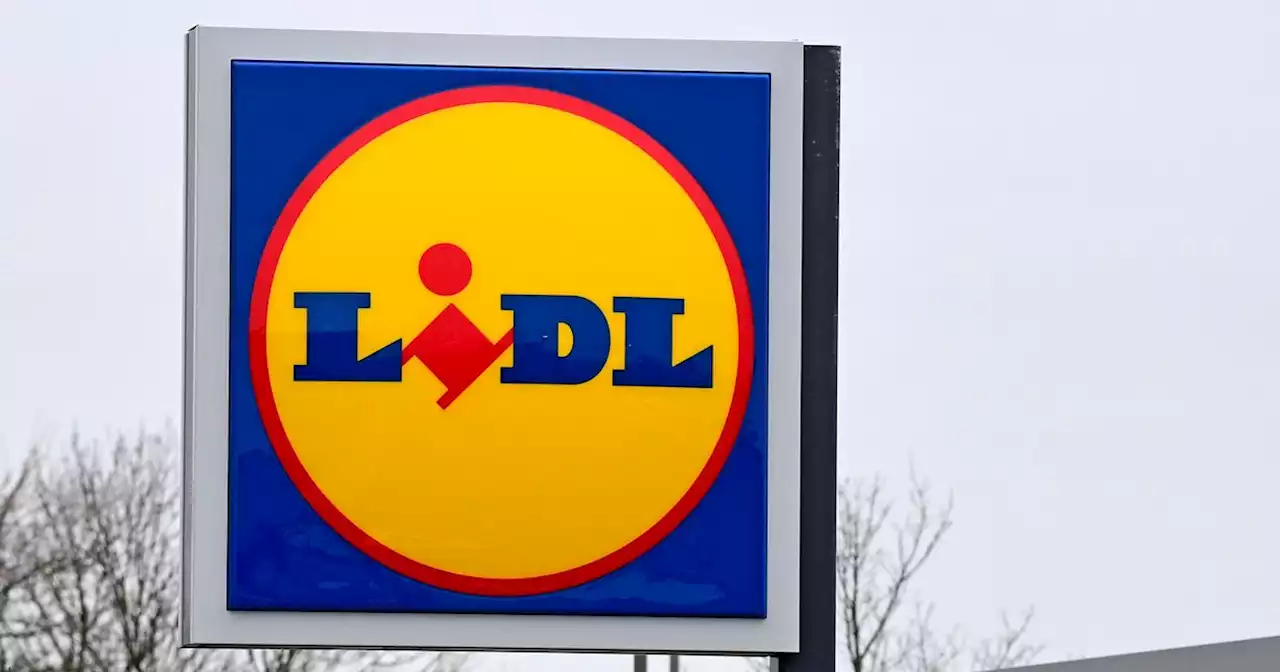 Lidl spills best time to shop to beat queues as shoppers stock up for Christmas