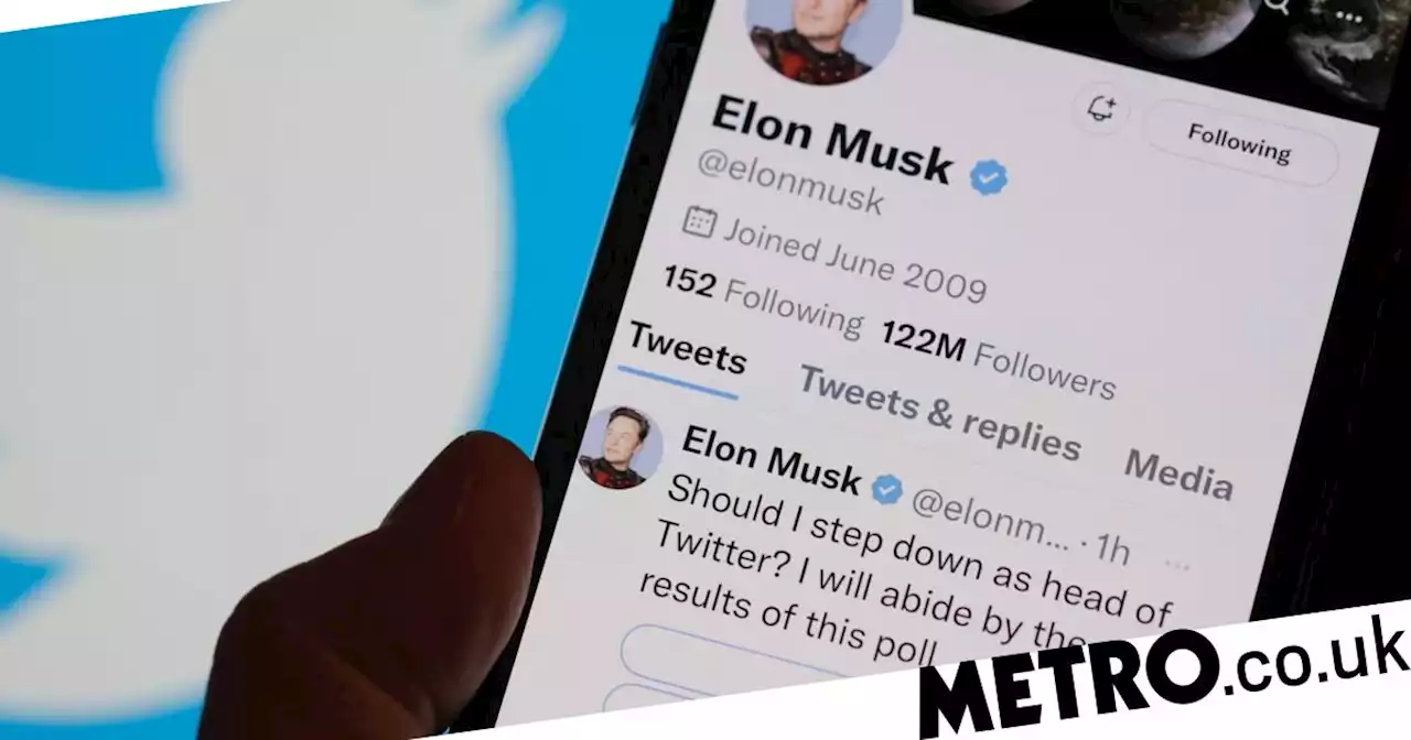 Elon Musk asks Twitter users if he should quit as CEO