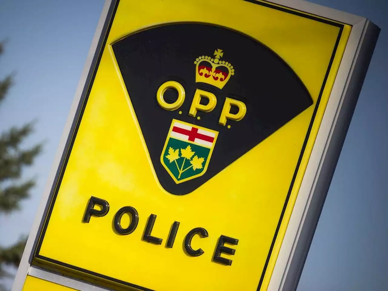 Ottawa resident faces drug, gun charges after stolen vehicle lands in the ditch in winter storm