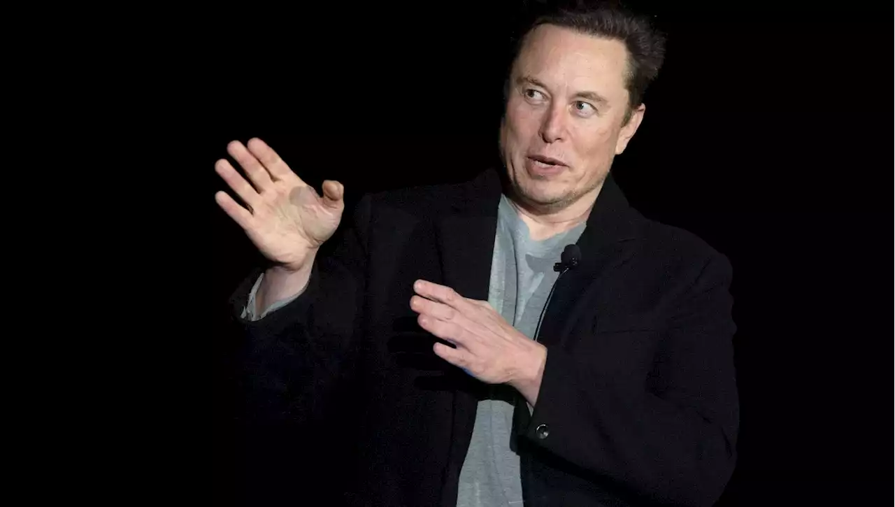 Elon Musk deve dimettersi da capo di Twitter: lo hanno deciso gli utenti