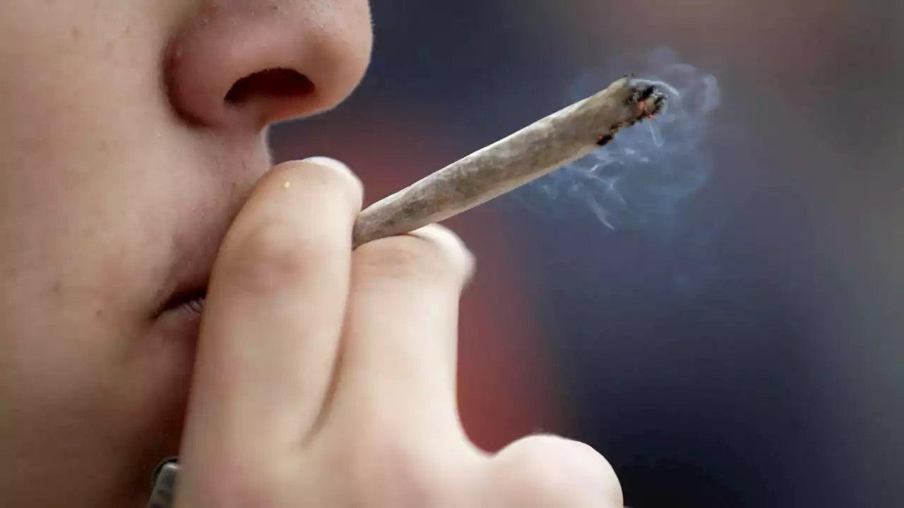 Cannabis: un niveau de consommation stable en France, les plus de 35 ans plus concernés