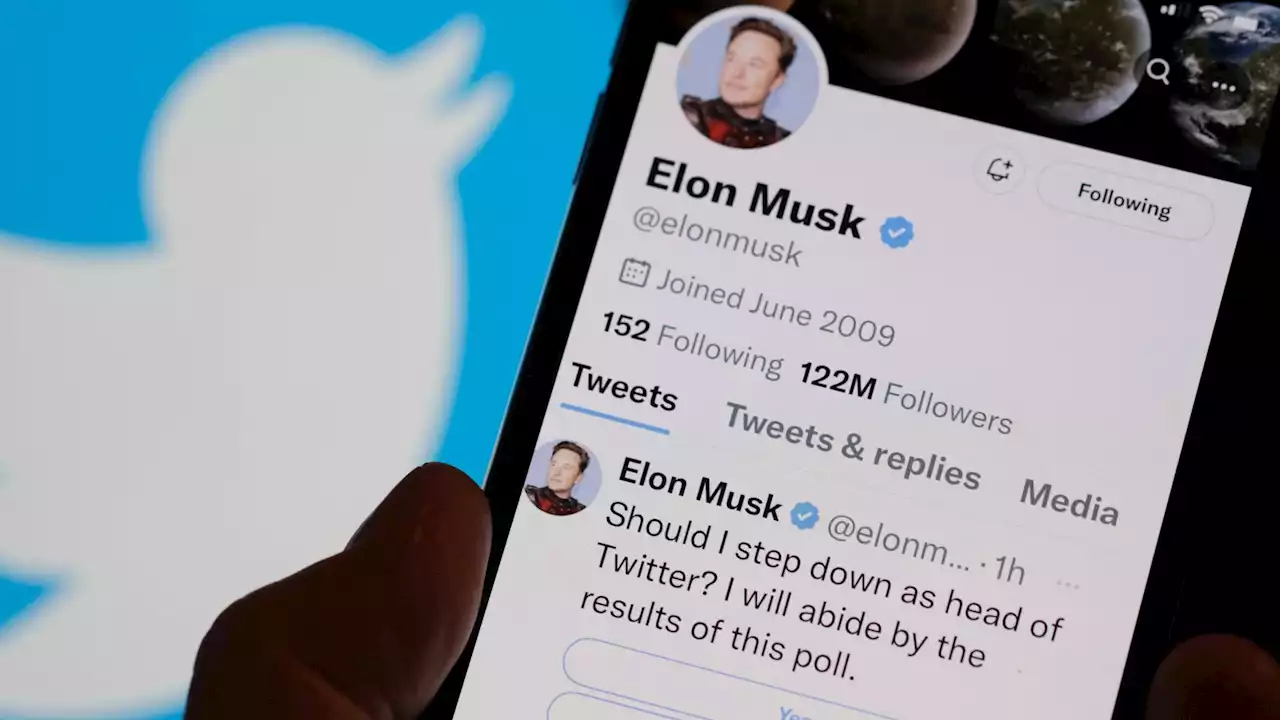 Musk pregunta en un sondeo vinculante si debe seguir dirigiendo Twitter