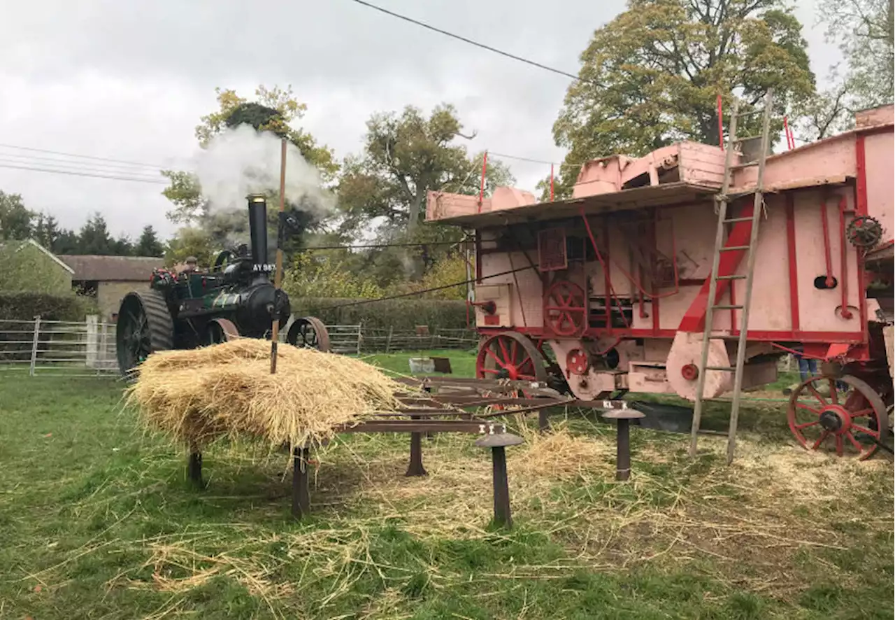 Shropshire Council to hand back Acton Scott Historic Working Farm to site owners