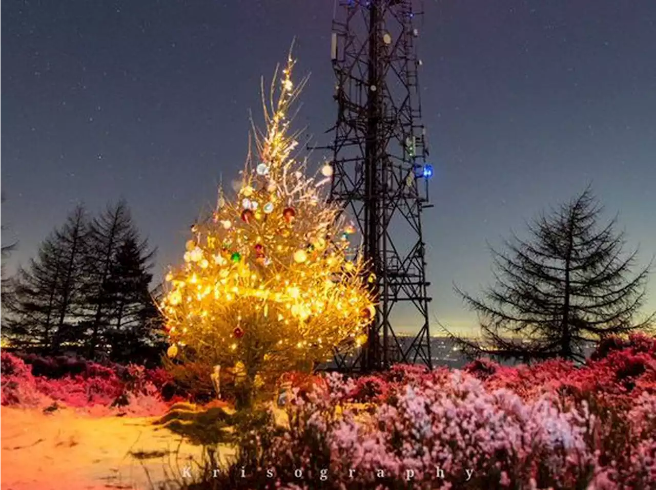 Festive surprise on top of The Wrekin as tree honours those we've lost