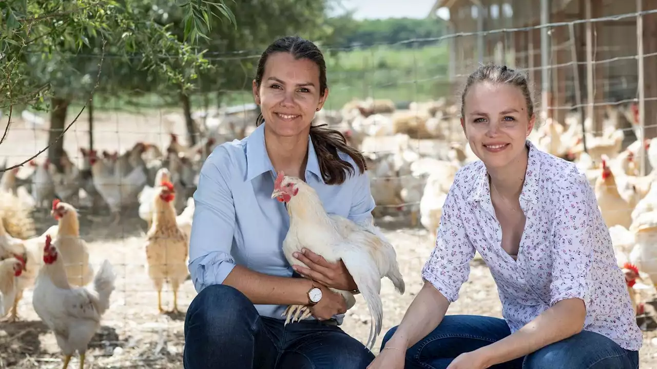 Annalina und Leonie Behrens über ihre erste Million (stern+)