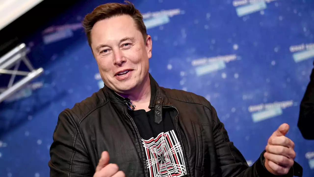 'Soll ich als Chef zurücktreten?' – Elon Musk lässt Twitter-Nutzer abstimmen