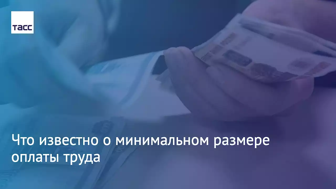 Что известно о минимальном размере оплаты труда