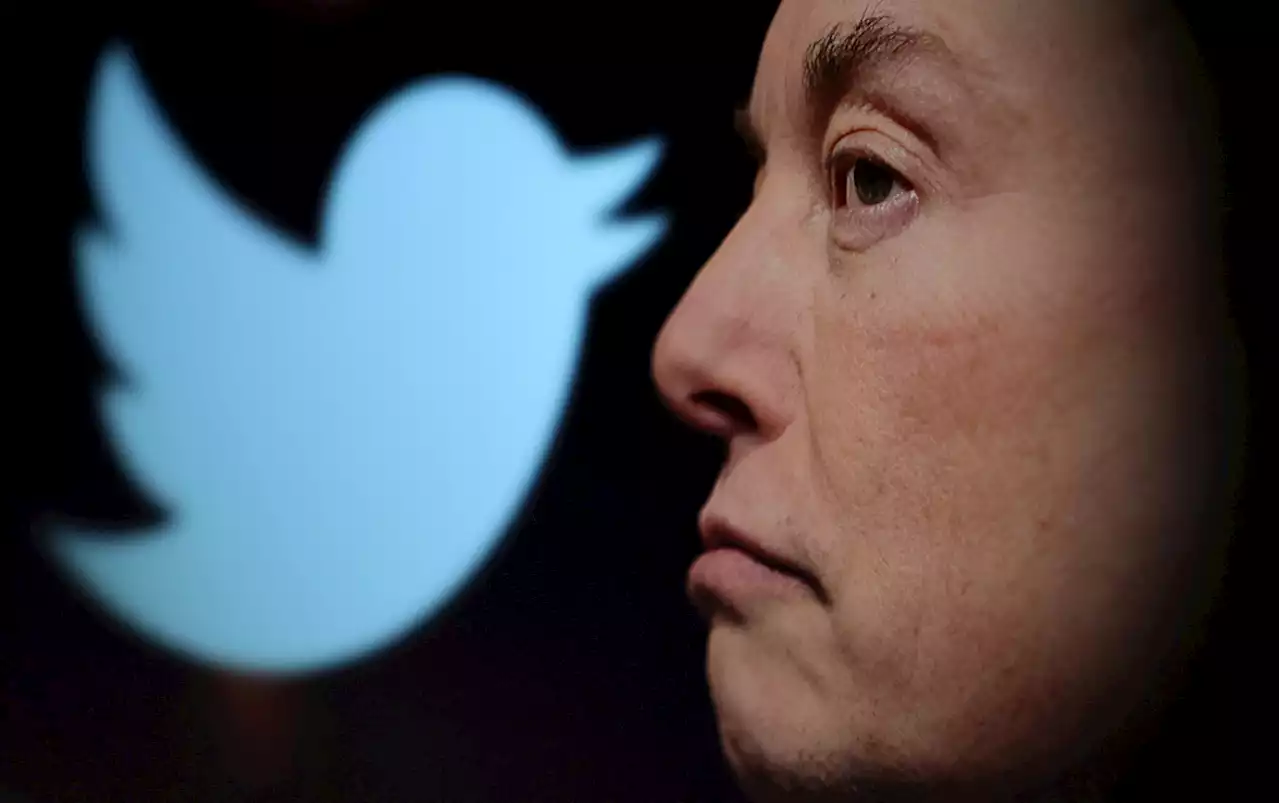 Tesla boost as more than 10 million people tell Twitter owner Elon Musk he needs to go