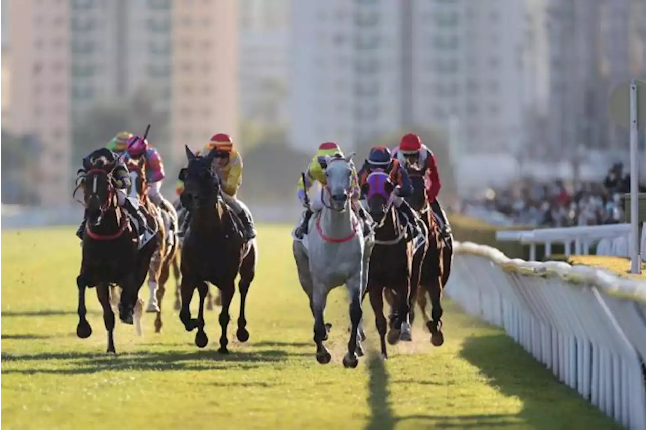Bang-in-form Purton nets another four-timer