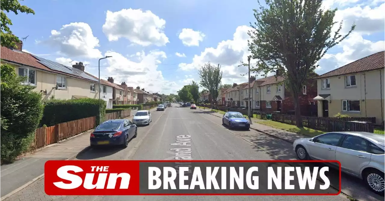 Man in his 40s shot dead by armed cops 'after threatening people with a knife'