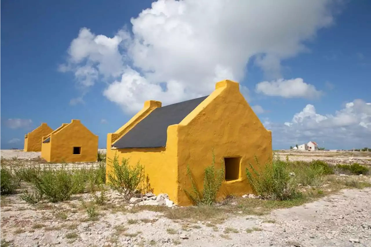 Bonaire wil zijn eigen geschiedenis kunnen vertellen: ‘Nederland bepaalt nog steeds wat wij over onszelf weten’