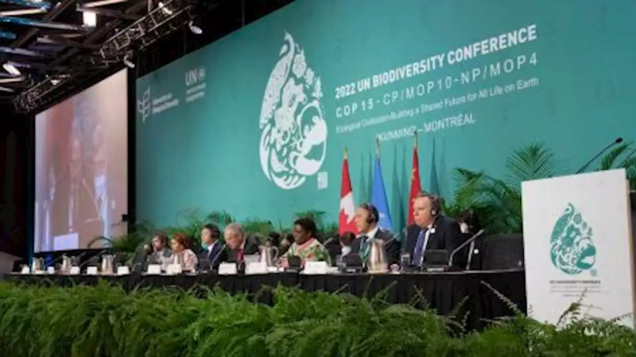 Countries reach historic nature protection deal at UN conference