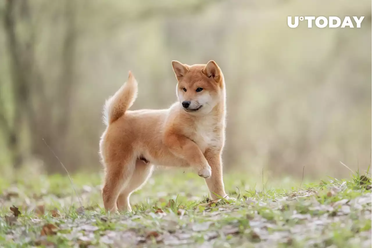 Shiba Inu (SHIB) Among Most Watched Cryptocurrencies on Binance This Year