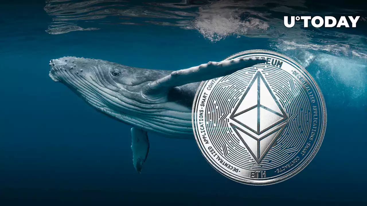 Two Ancient Ethereum Whales Wake Up, Here's What Happened Next