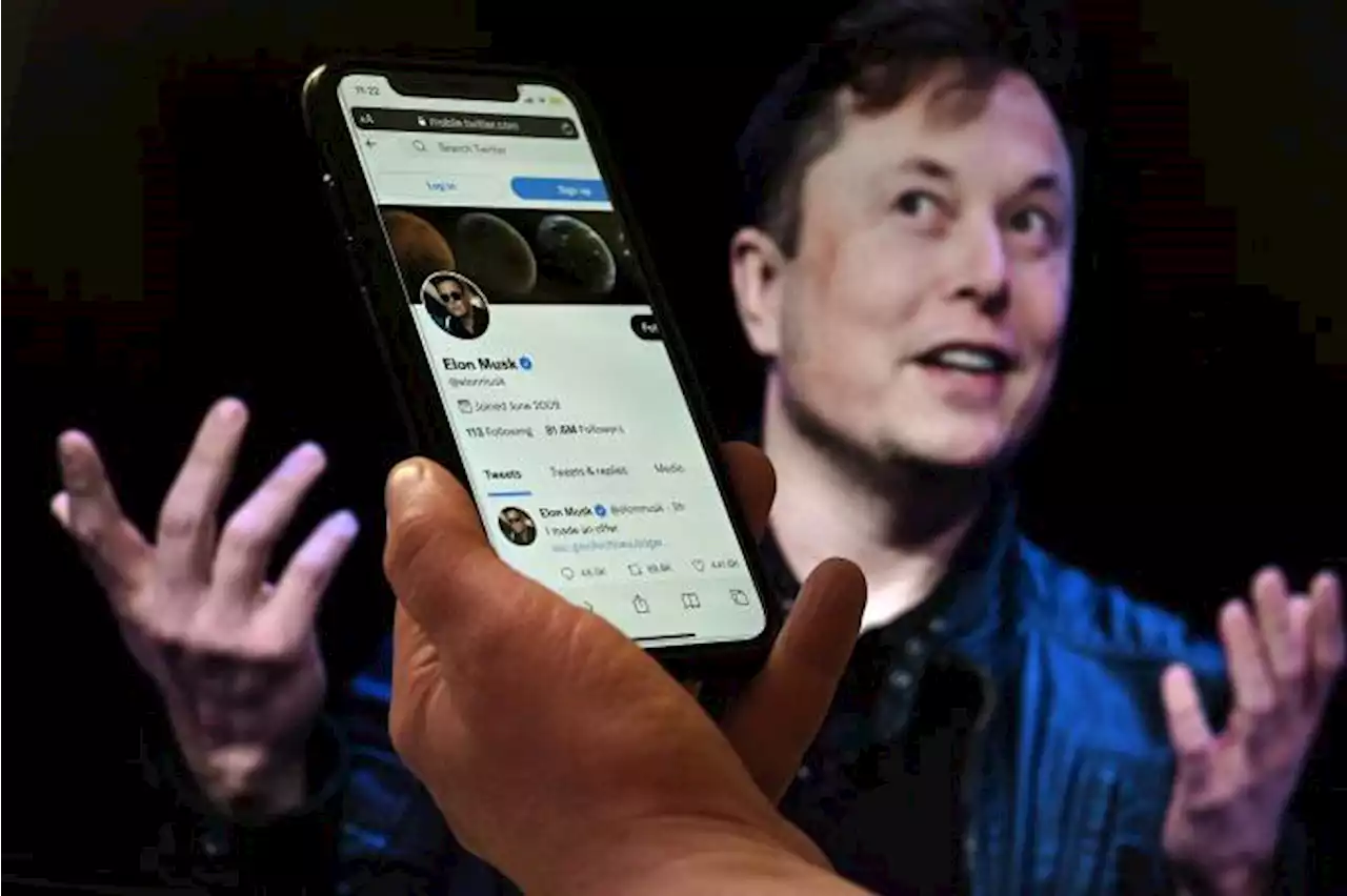 Musk perde própria enquete sobre permanência no cargo de CEO do Twitter