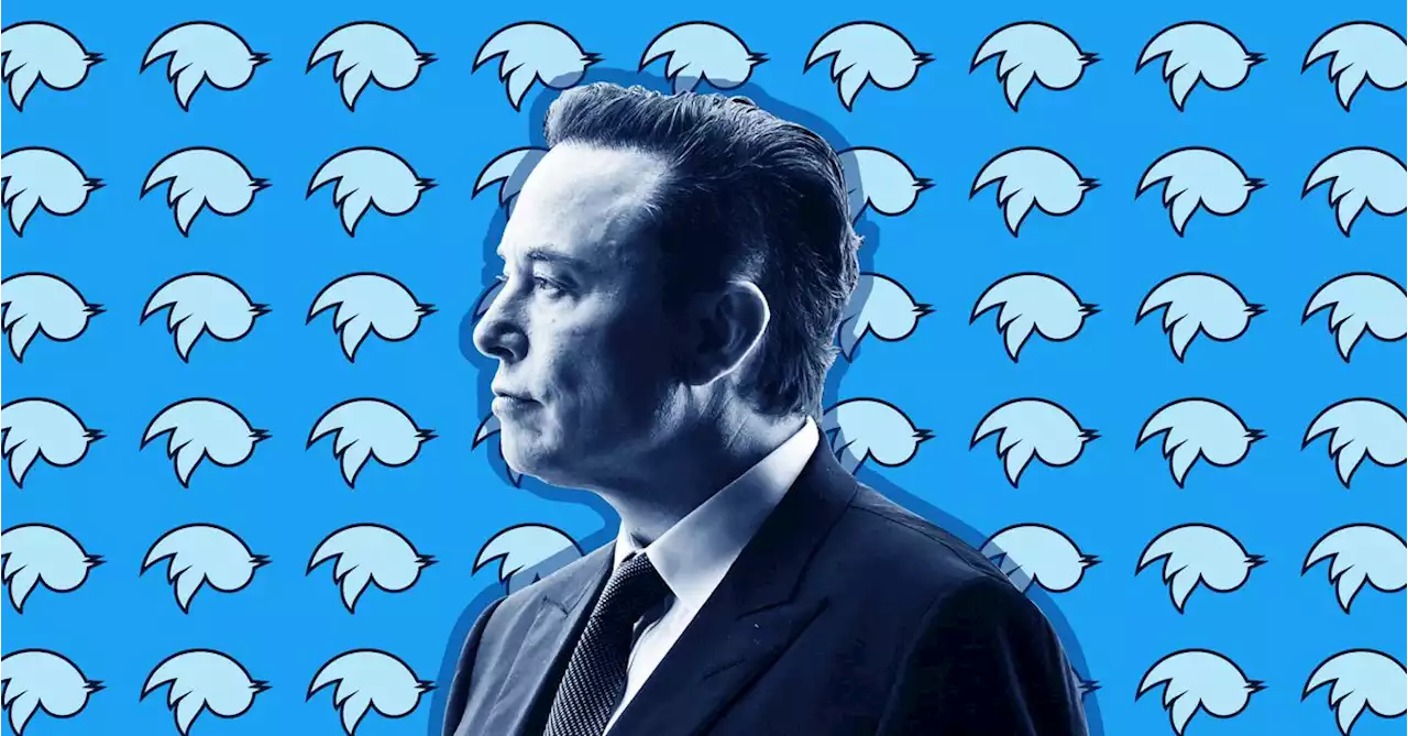 Elon Musk proposes stepping down as head of Twitter in poll