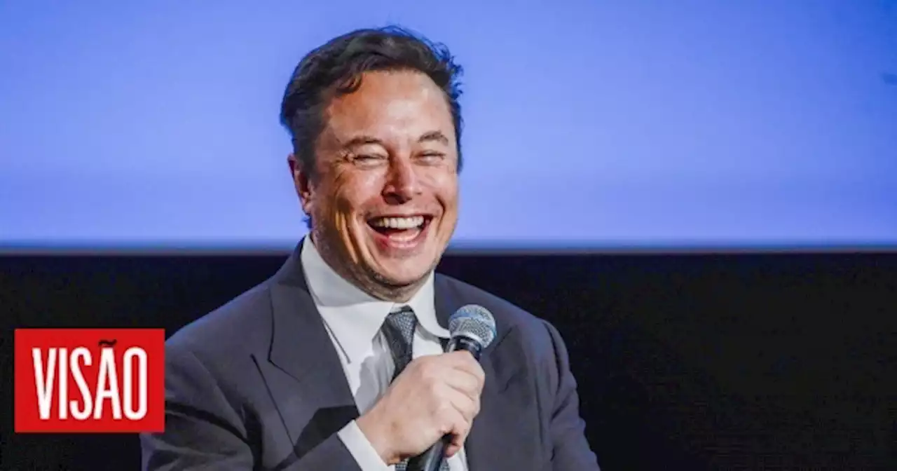Visão | Elon Musk consulta utilizadores para saber se deve continuar como chefe do Twitter