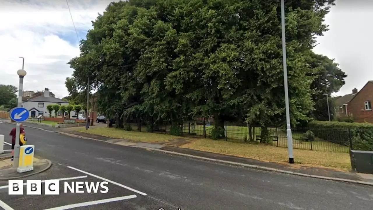 Leeds: Man held as car mounts pavement and kills elderly woman