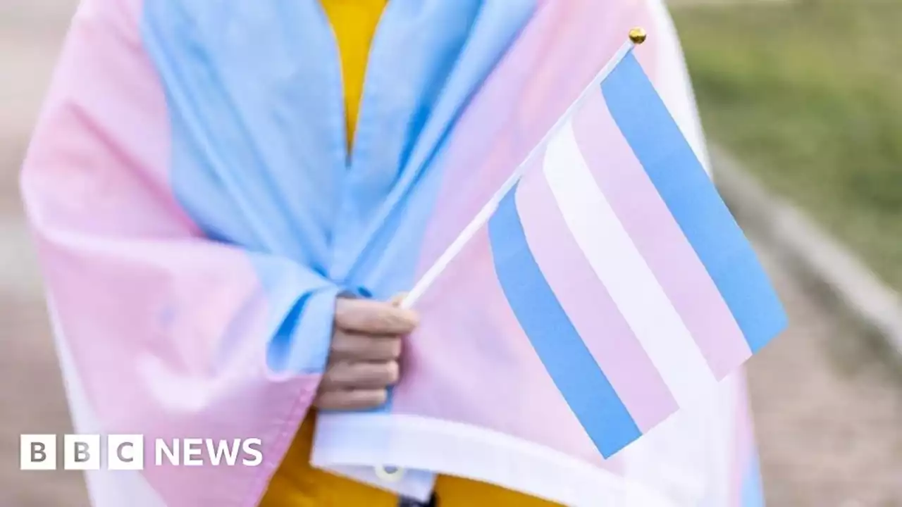 Mermaids: Commission opens inquiry into transgender charity