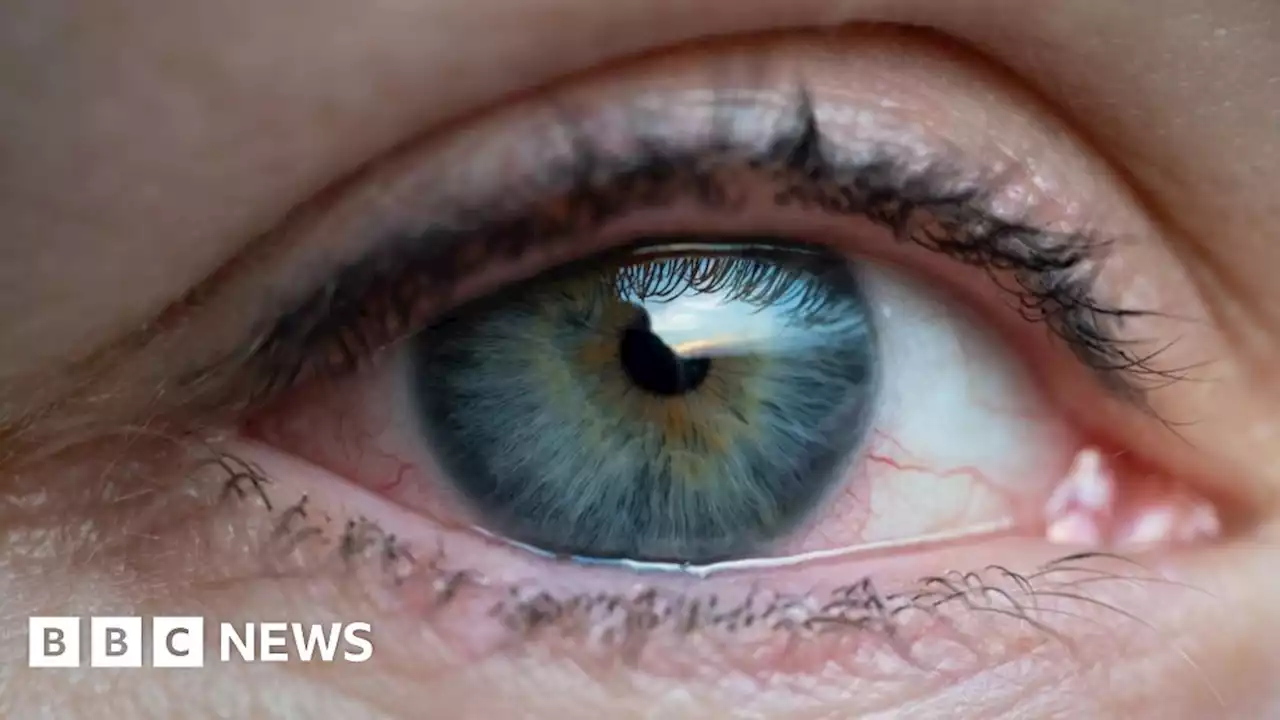 £10m investment for Belfast drug firm treating eye disease