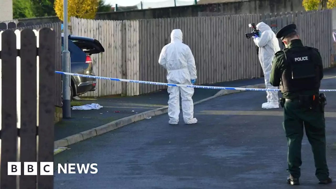 Newry: Man dies after being shot multiple times at close range