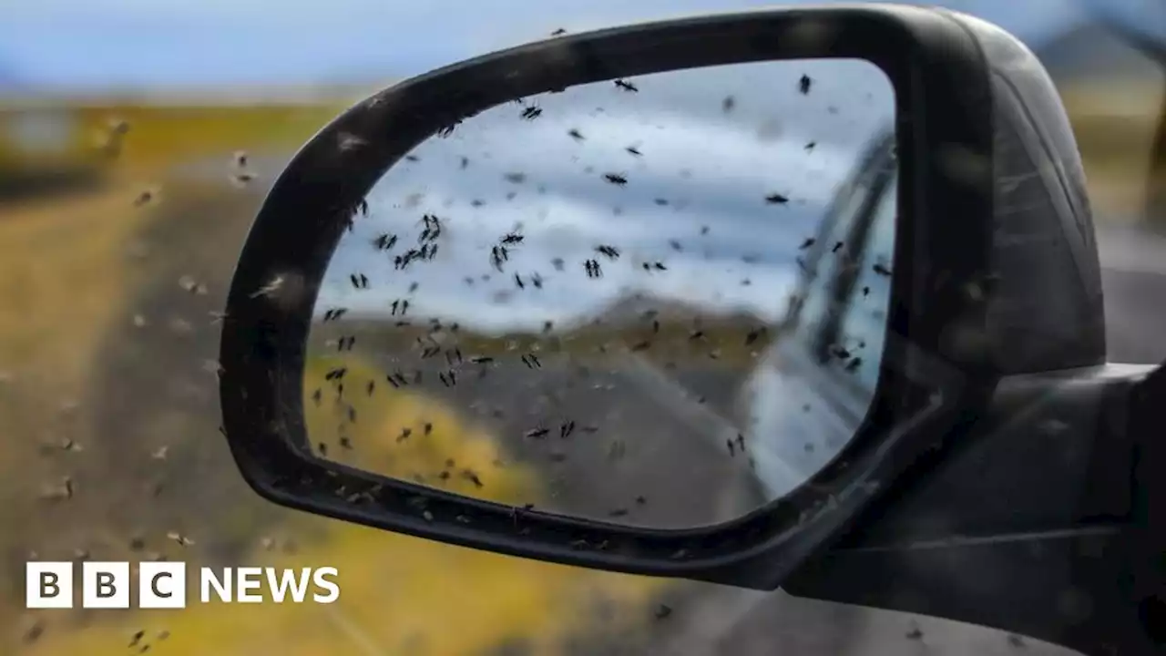 Scotland's bloodsucking pests have mixed fortunes