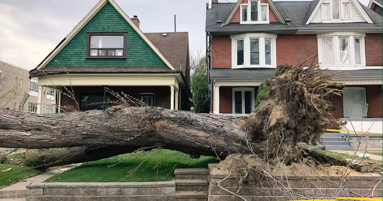 Strong storm to batter Toronto and Southern Ontario with extreme wind speeds