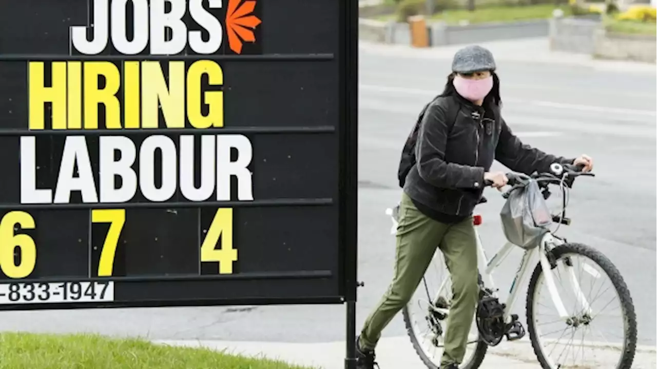 Statistics Canada to release November jobs numbers this morning - BNN Bloomberg