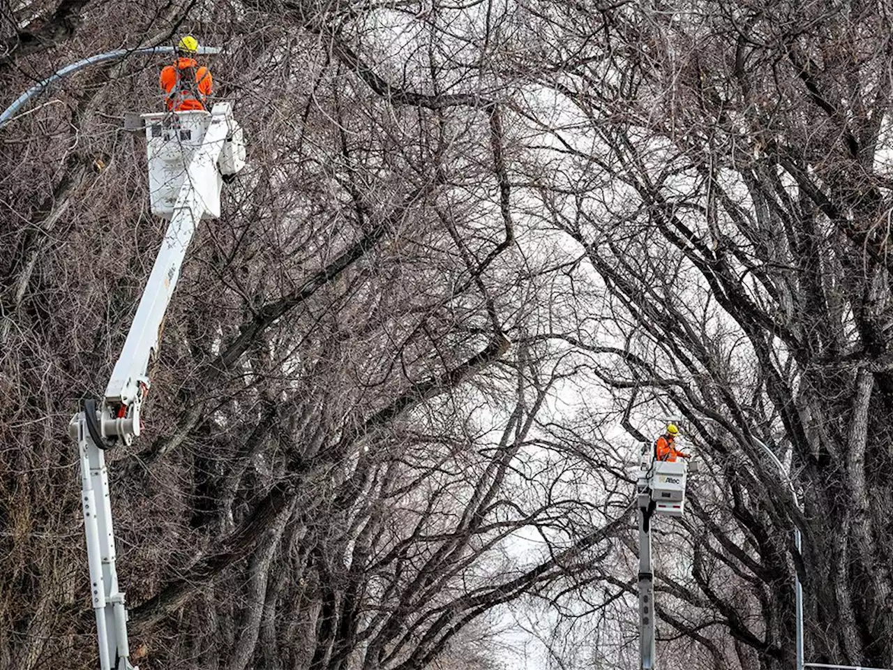 City hopes new repair contract will clear backlog of burnt-out street lights