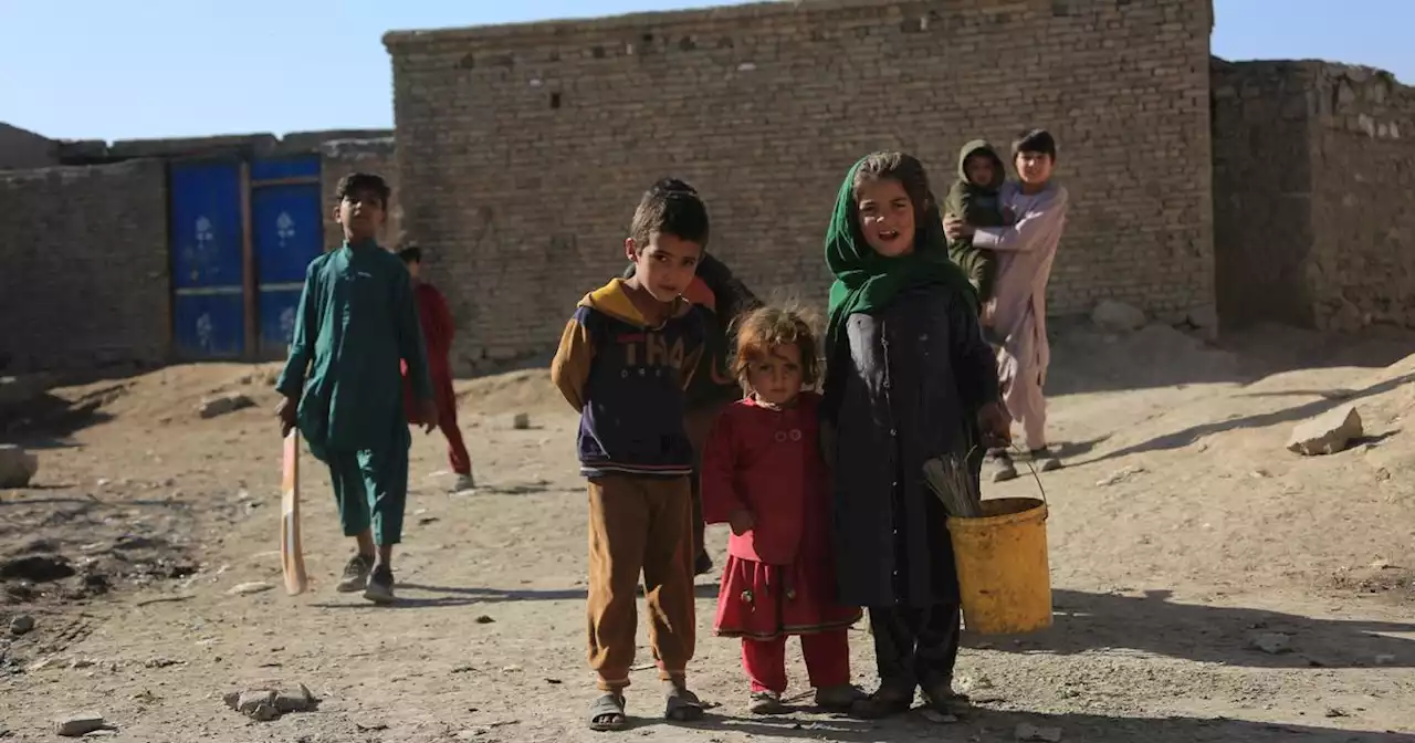 Winter under the Taliban: Afghan families struggle without work, warmth, or hope