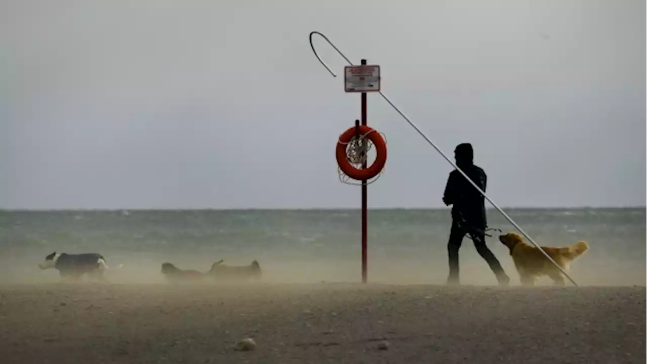 Special weather statement in effect for Toronto: strong winds expected Friday, Saturday